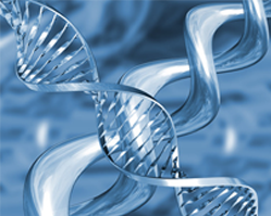 Slider image (4) Dr. GIAN PAOLO TASSI | Neurosurgery Specialist